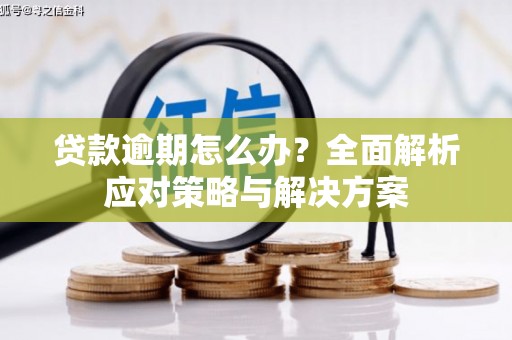 岫岩贷款逾期怎么办？全面解析应对策略与解决方案